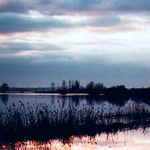 Parc naturel régional des Marais du Cotentin et du Bessin